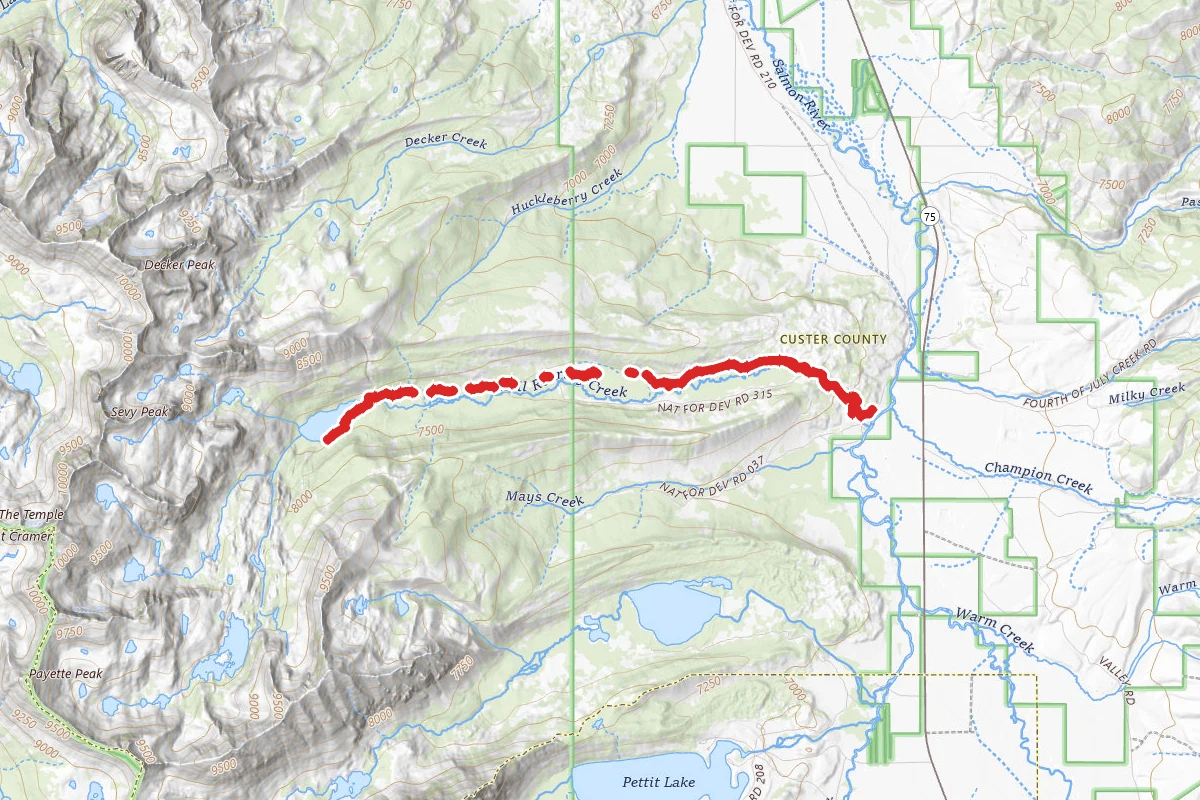 Hellroaring Creek Trail to Hell Roaring Lake
