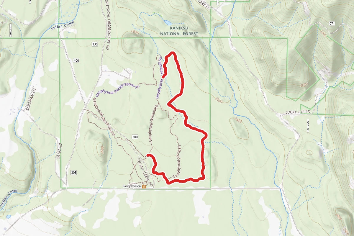 Rough Ridge Trail