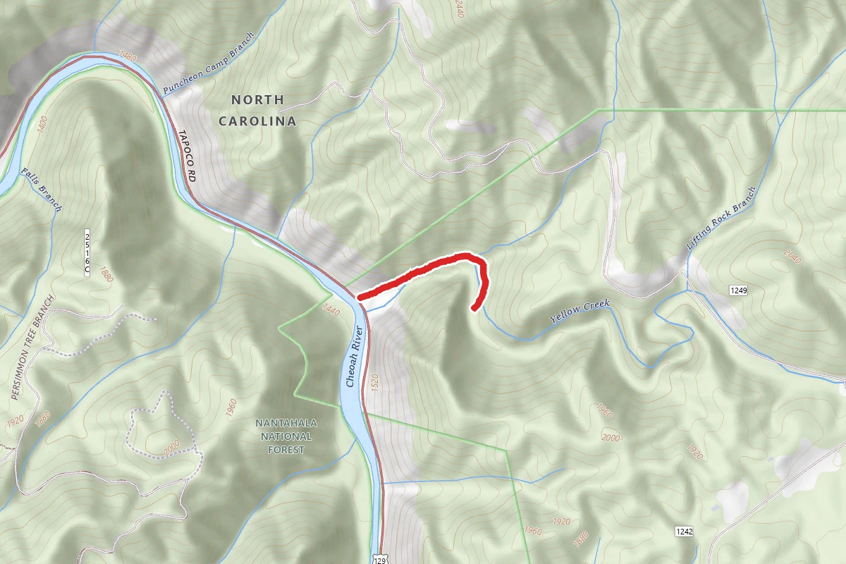 Yellow Creek Falls Trail