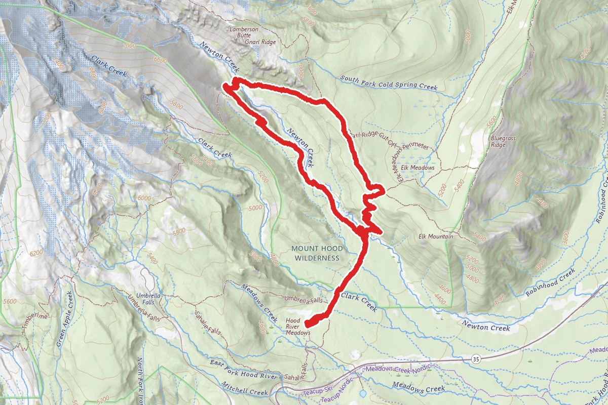 Newton Creek, Timberline Trail, and Gnarl Ridge Trail Loop