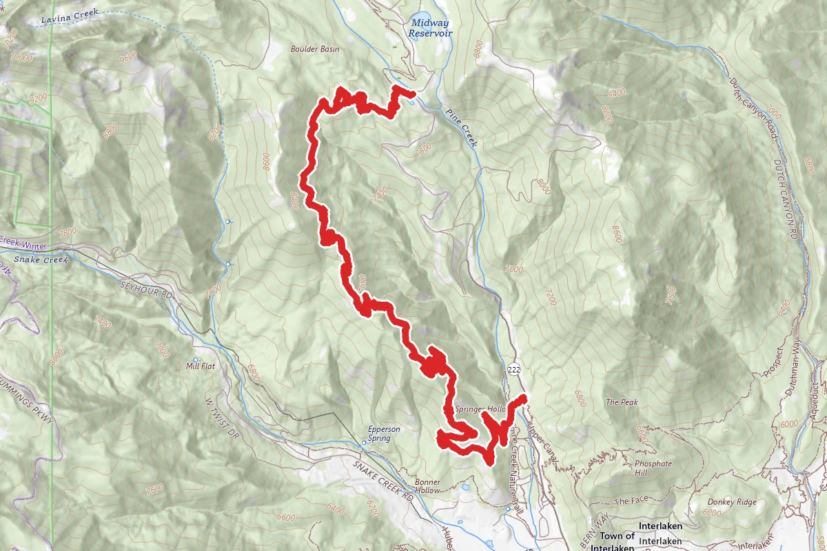 Springer Hollow via Wow Trail