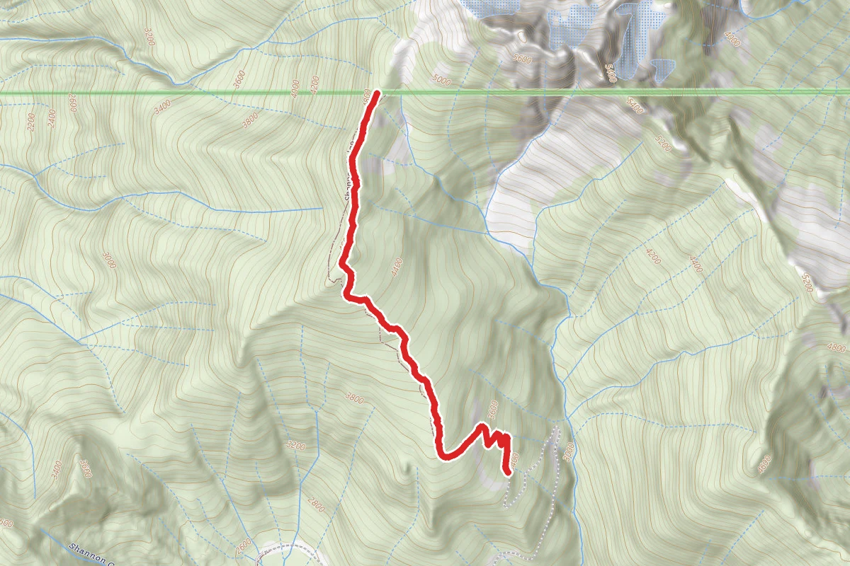 Shannon Ridge Trail
