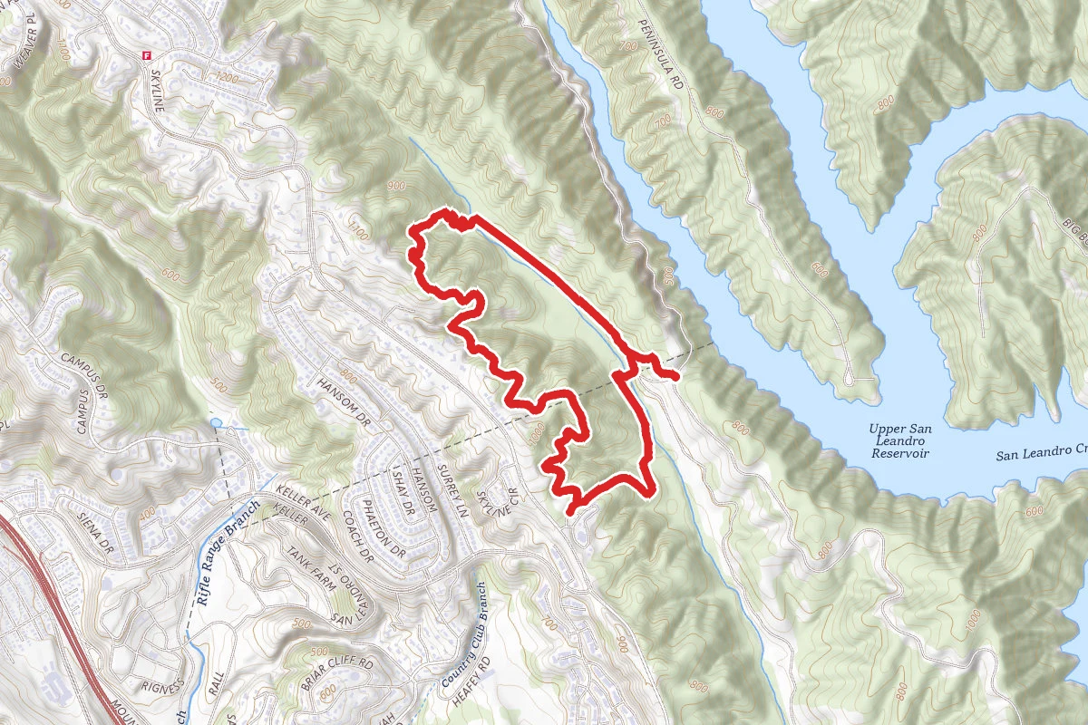MacDonald, Grass Valley, Ranch, Goldenrod, Buckeye