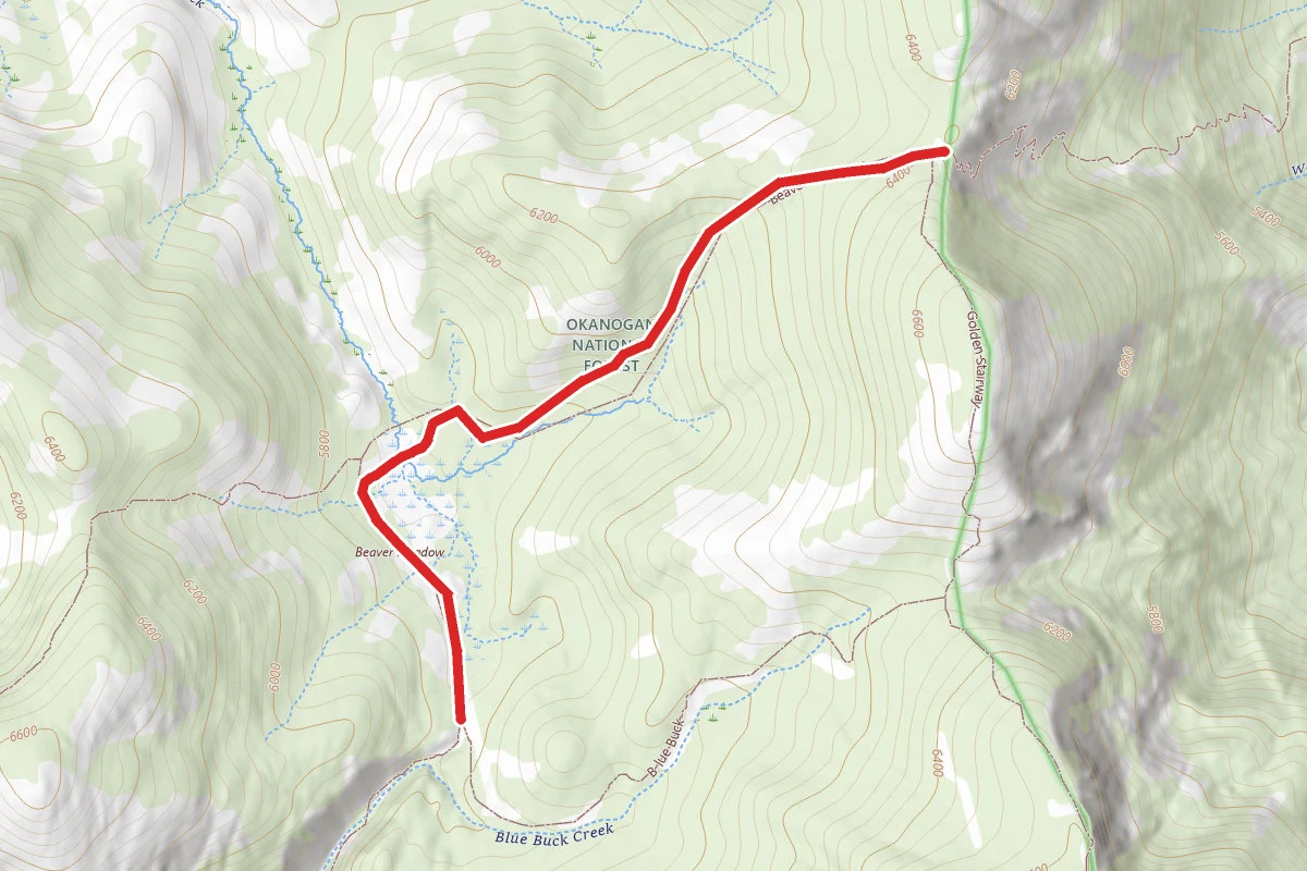 Beaver Meadows Trail #358