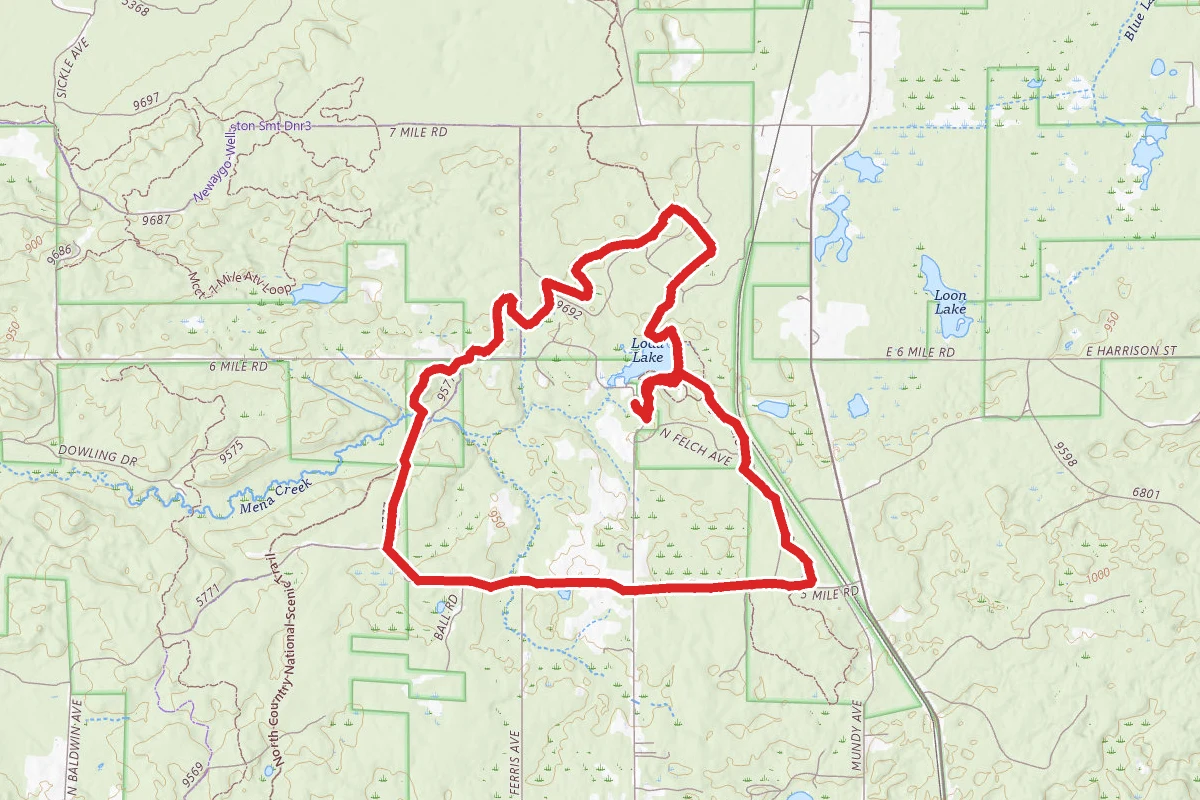 Birch Grove Connector Trail and North Country Trail Loop