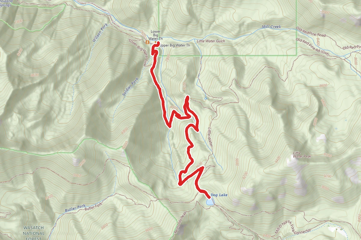 Dog Lake via Big Water Trail