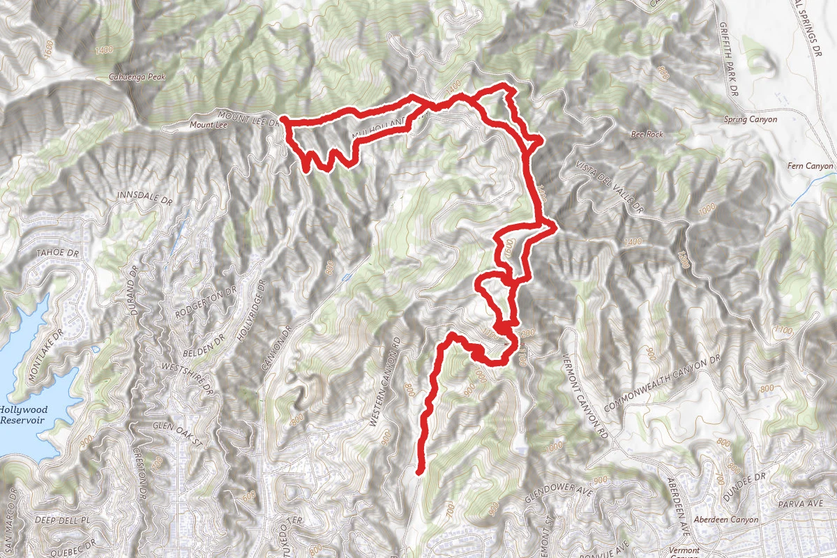 Mount Hollywood and Mount Bell Trail
