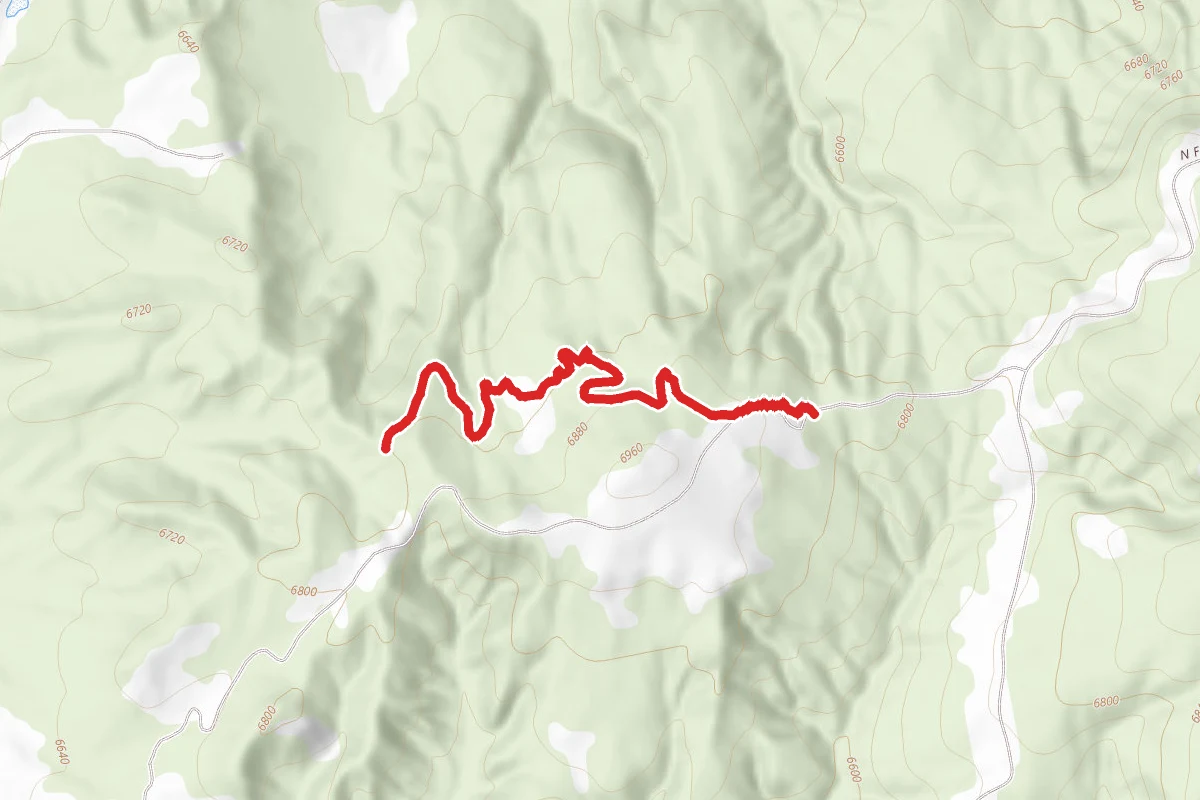 Pine Knoll Trail