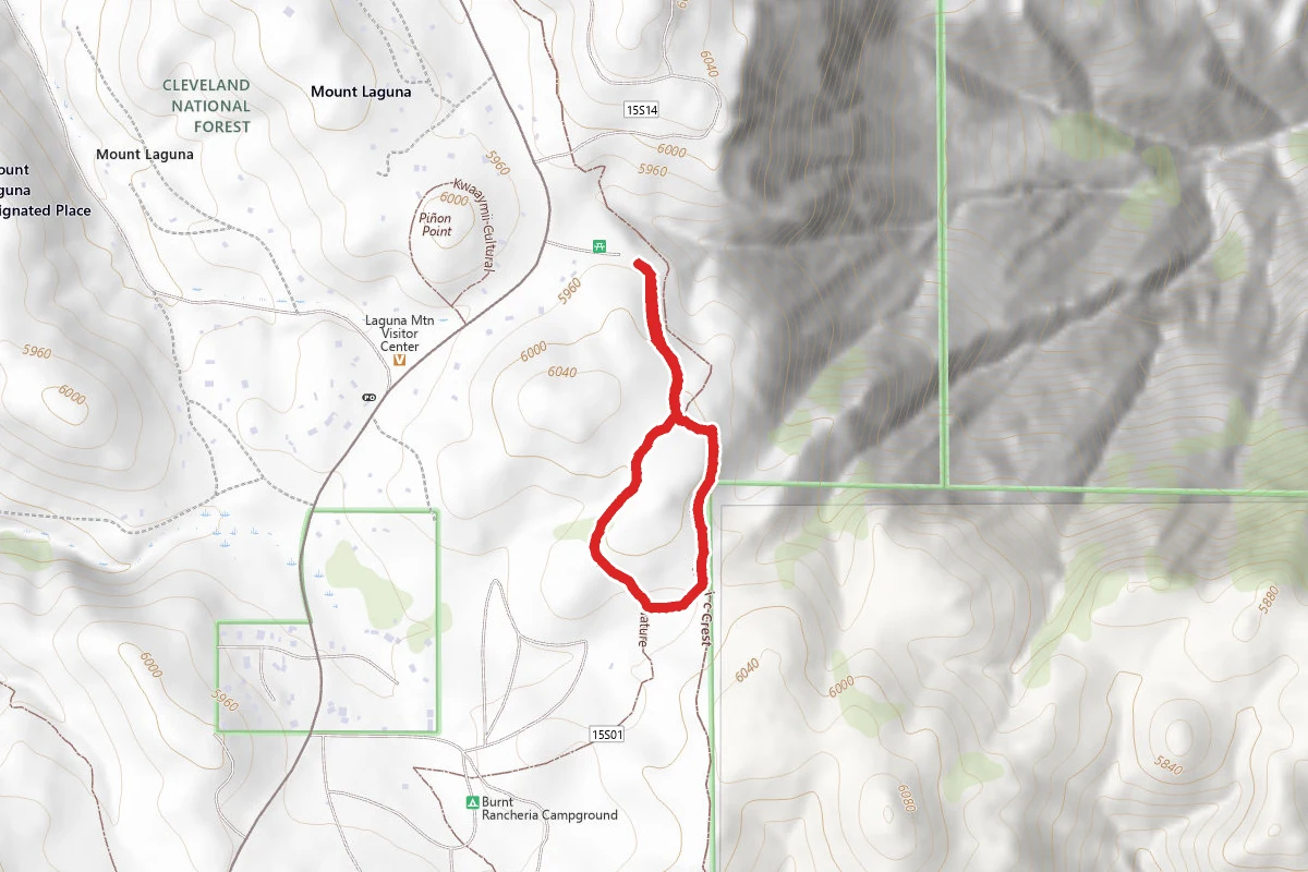 Desert View Interpretive Trail