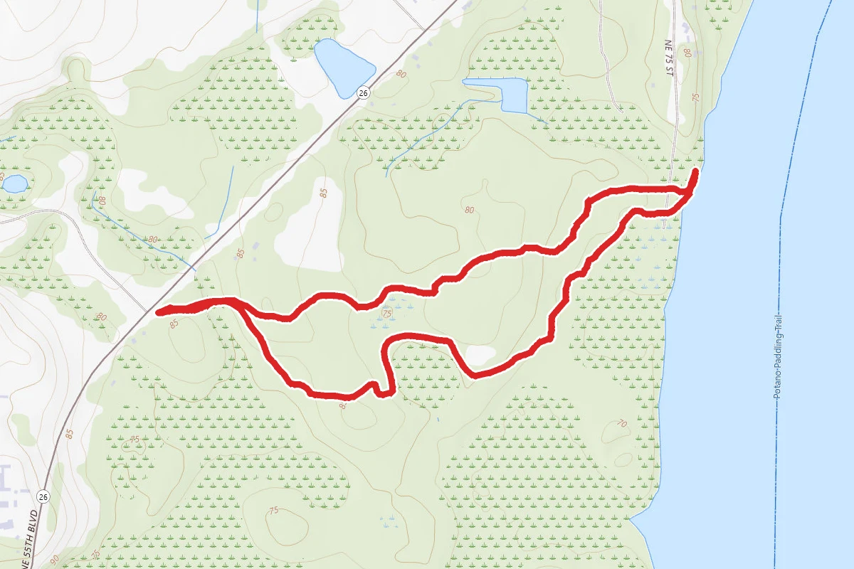Newnans Lake (Pithlachocco Lake) Trail
