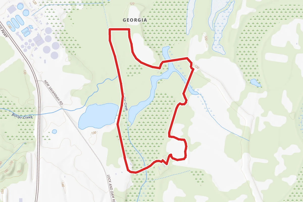 Beaver Dam and Cattail Loop