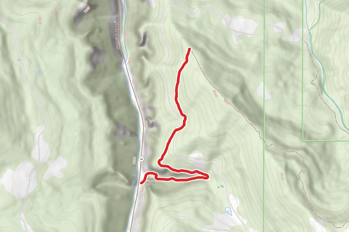 Blowhard Trail