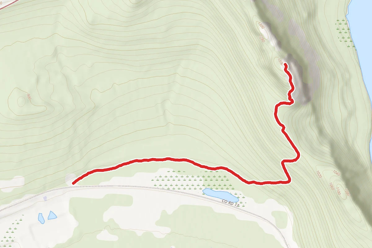 Mount Josephine Lookout Tower Trail
