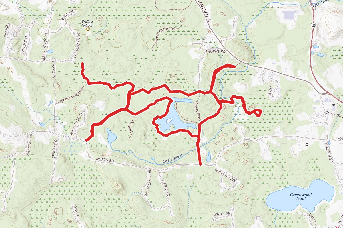 Tucker and French Family Forest Loop