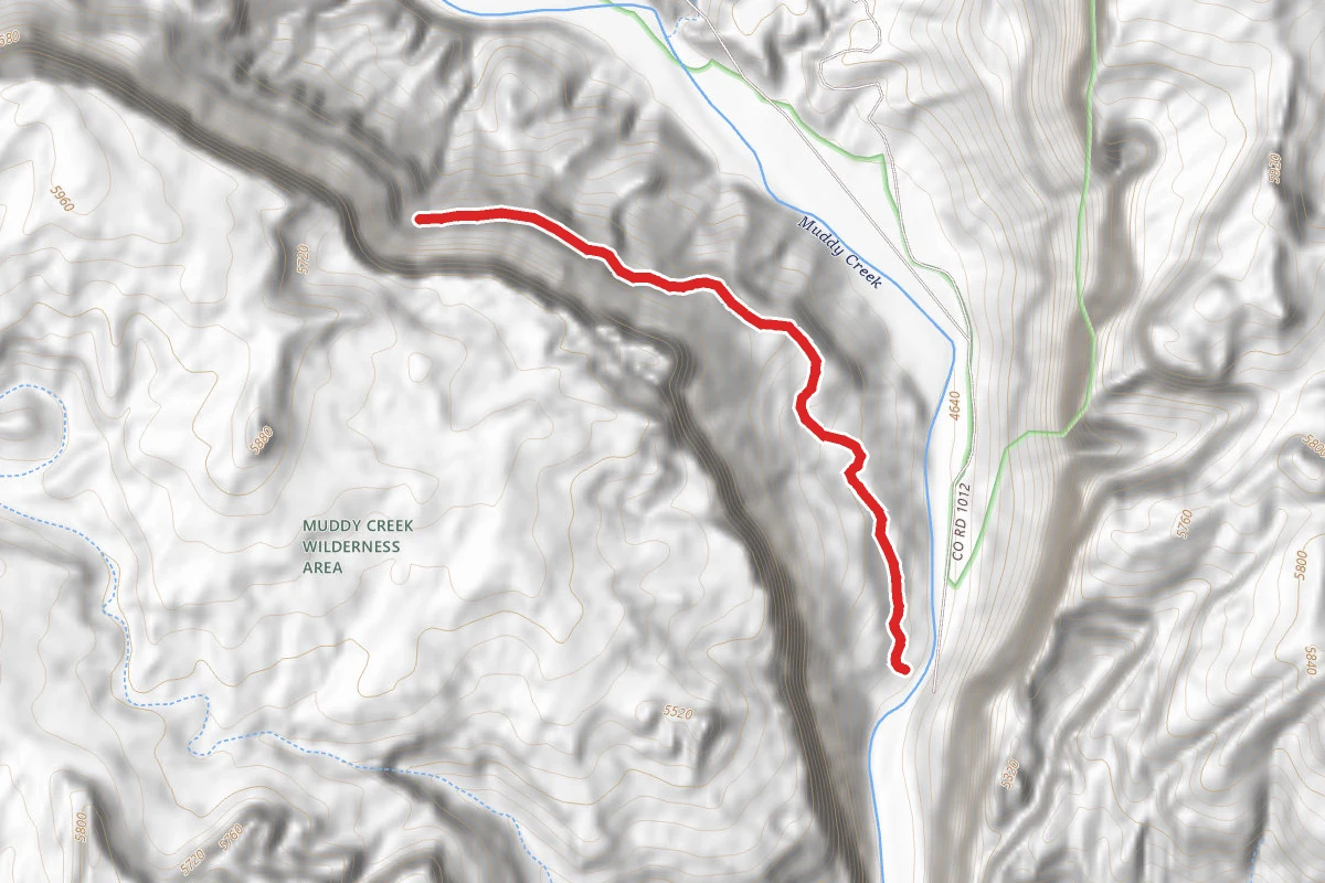 Remnant of an Old Mining Road
