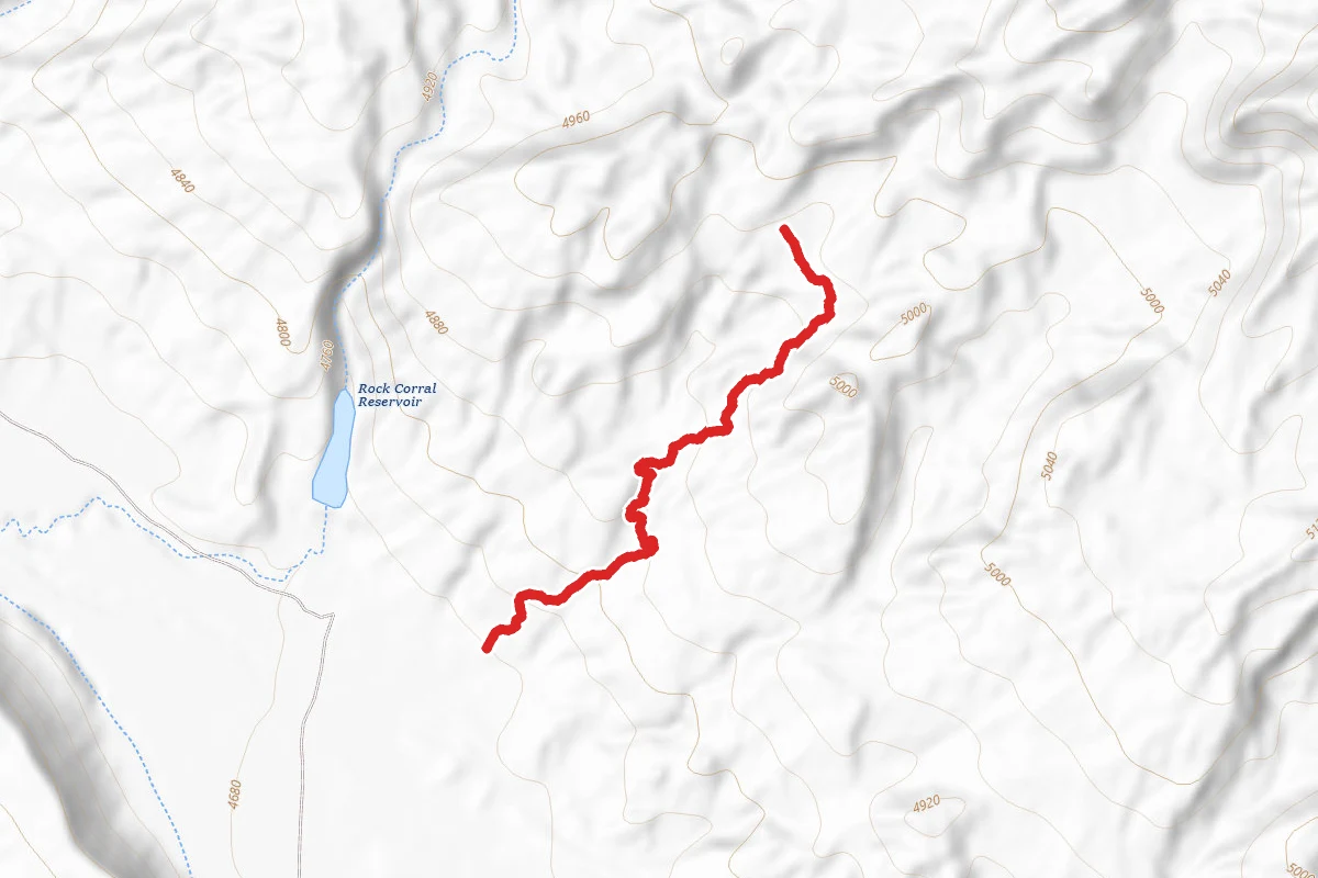 Homer Trail