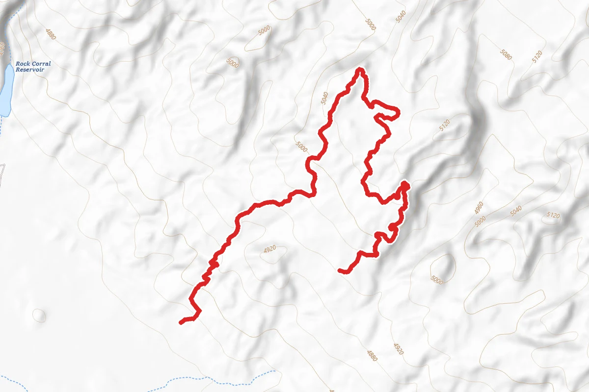 Nome Trail