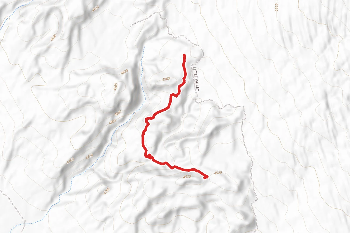 Malachite Trail