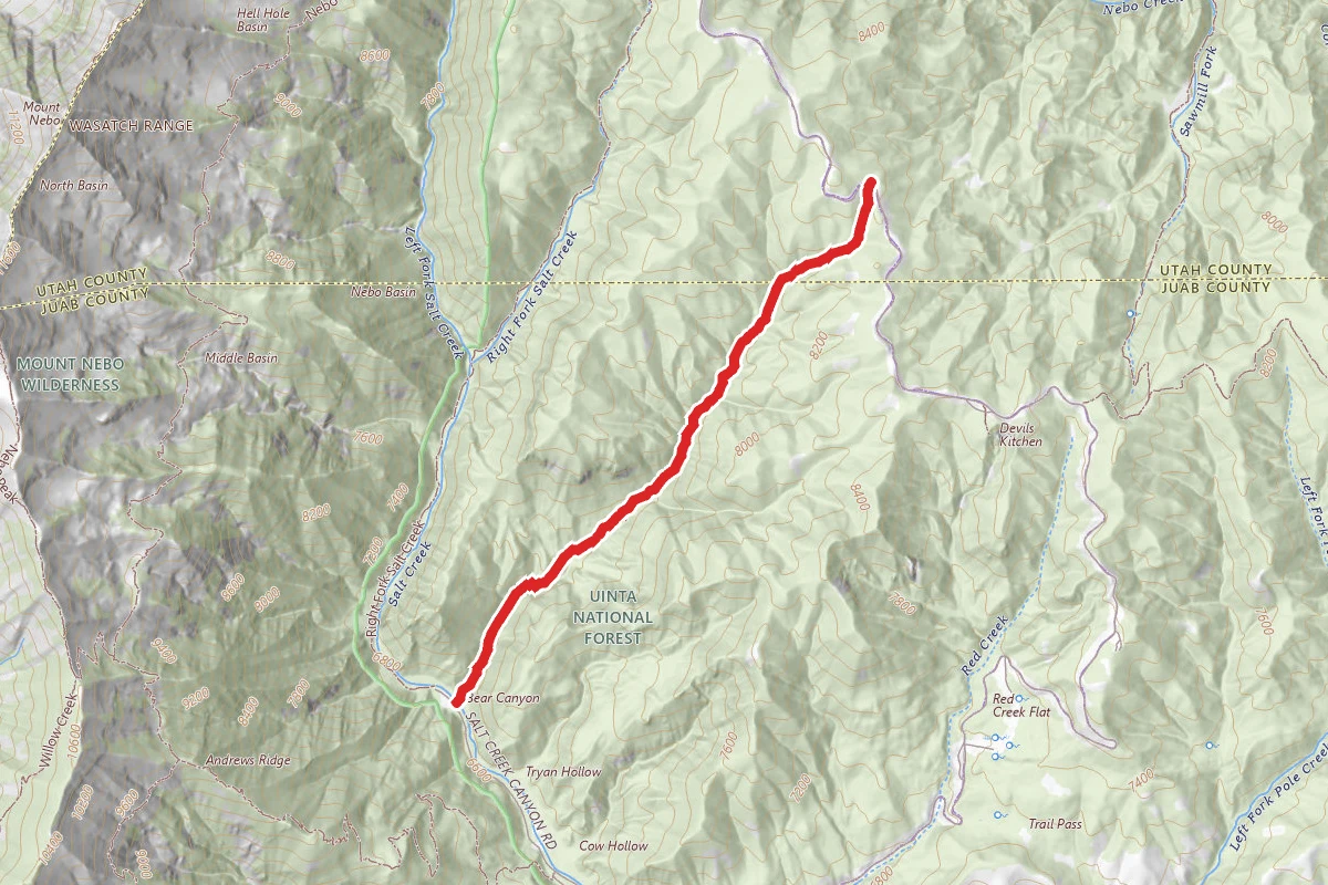 Bear Canyon Trail