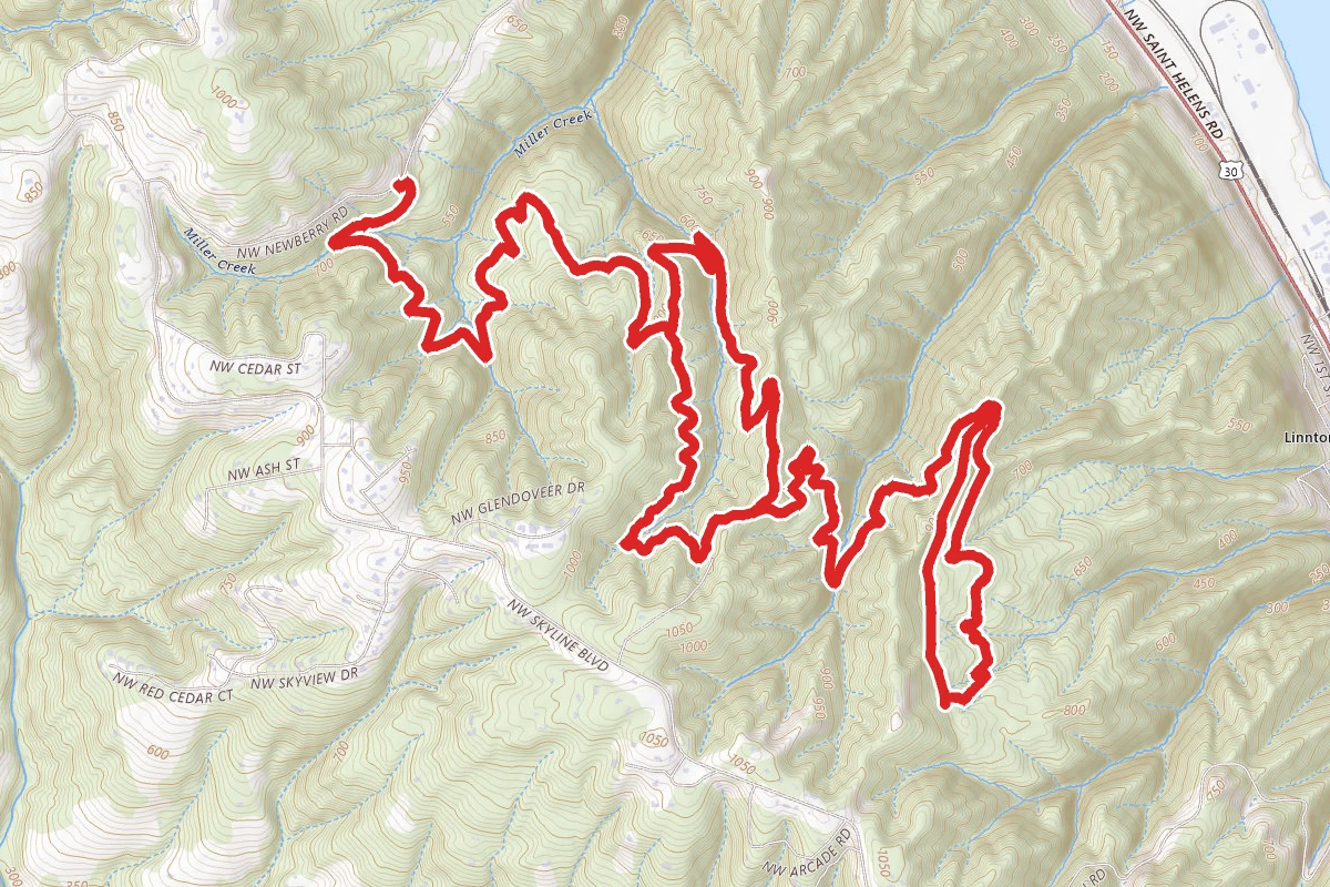 Newberry Loop Trail