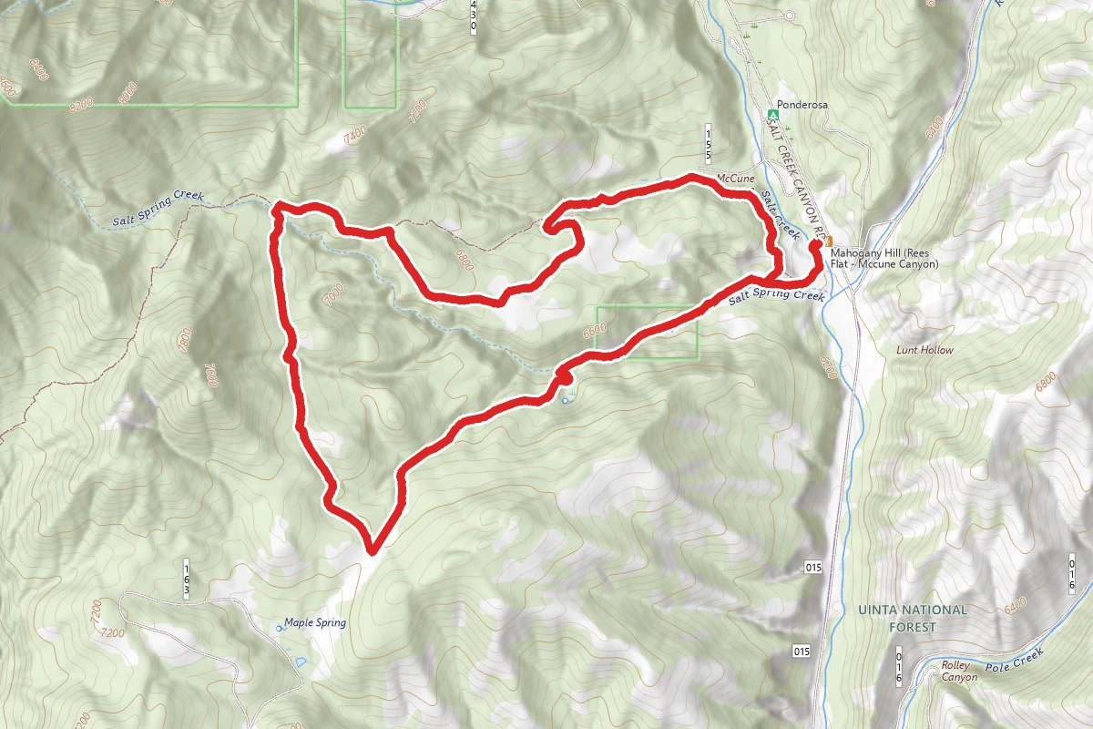 Mahogany Hill Trail