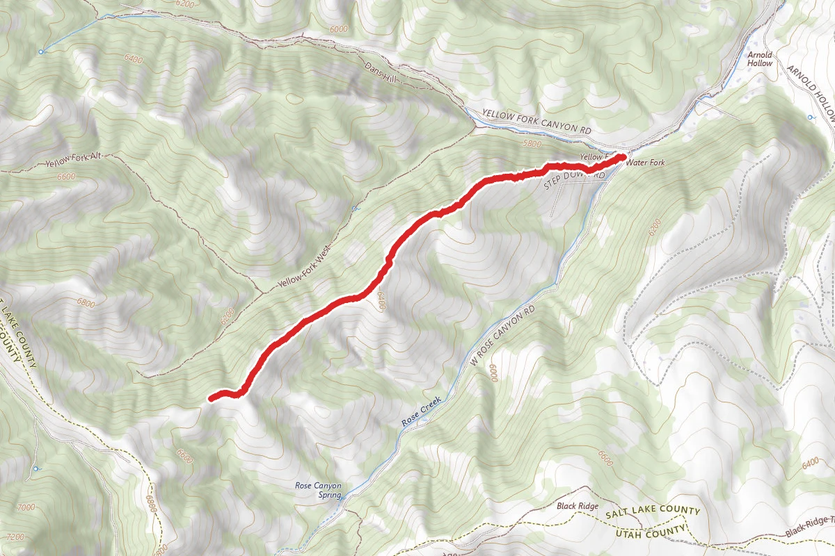Water Fork Ridge Trail