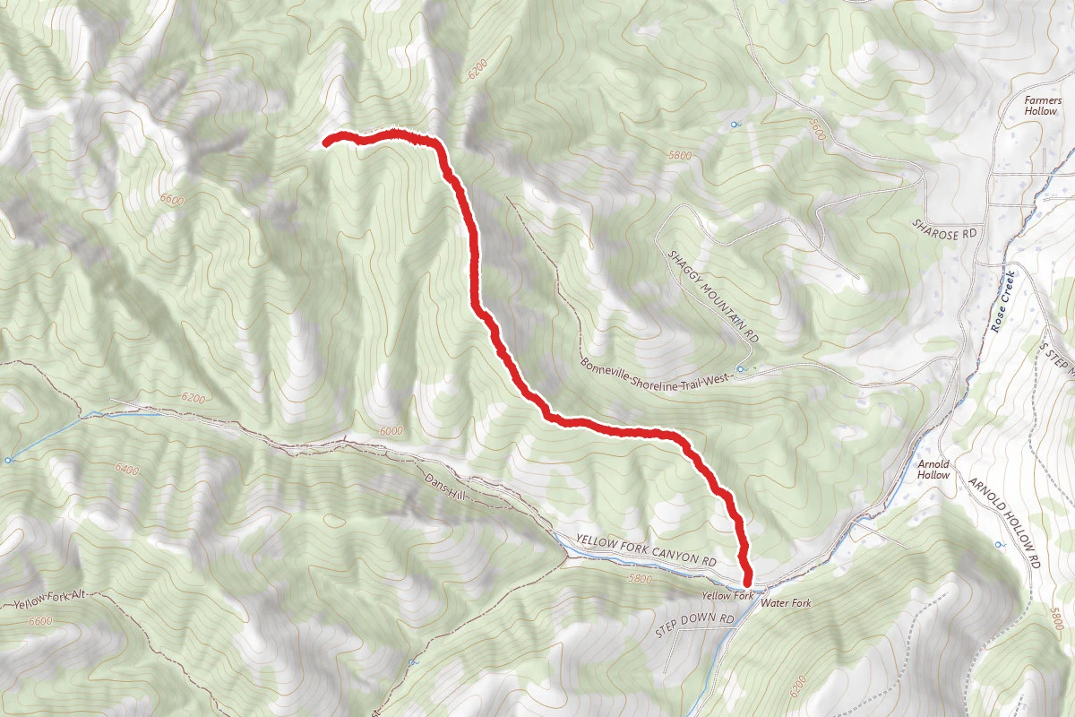 Yellow Fork Ridge North
