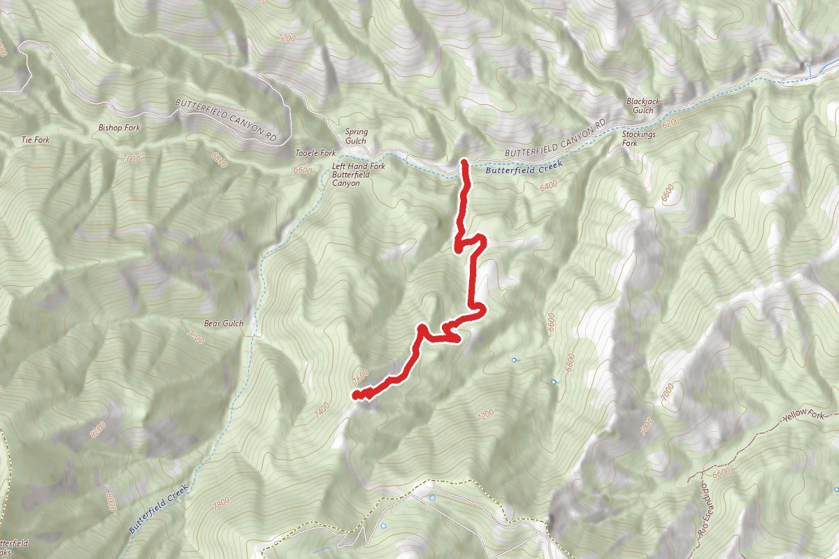 Swamp Fork Trail