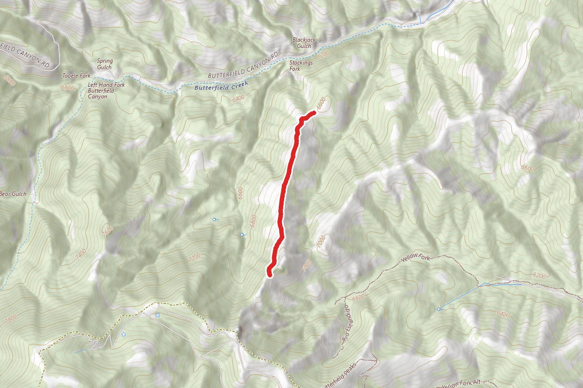 Stocking Fork Loop Trail