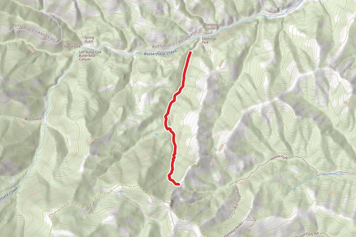 Stocking Fork Trail