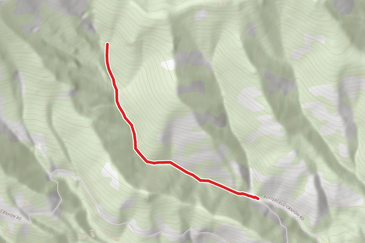 Spring Fork Trail
