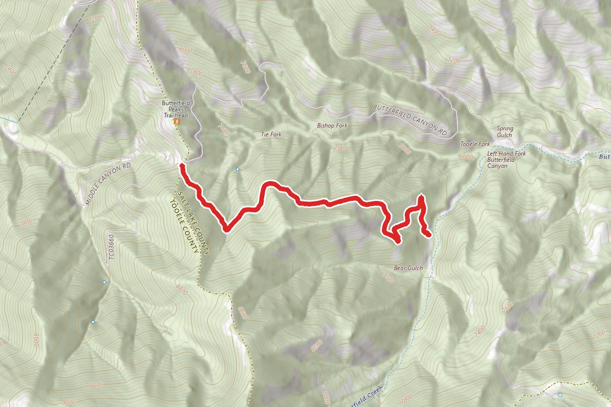 Bear Fork Trail