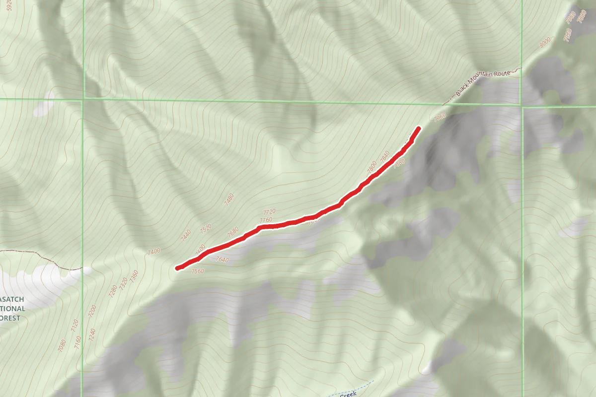 Black Mountain Trail