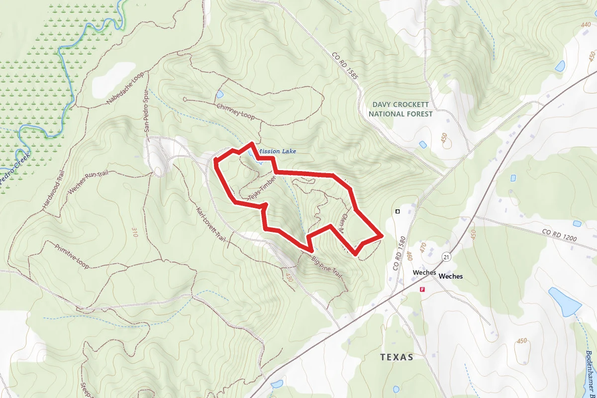 Mission Tejas State Park Trail