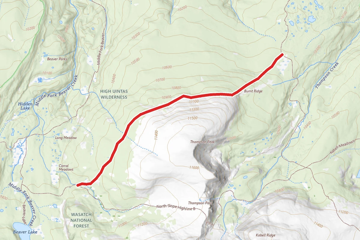 Thompson Peak Trail