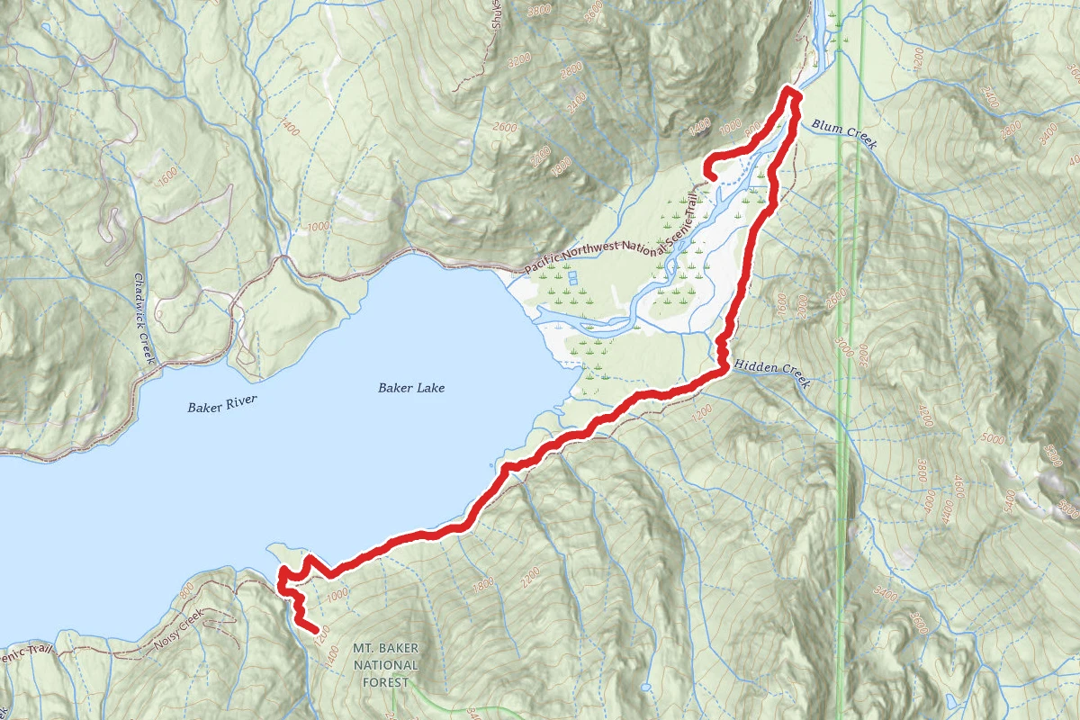 Baker Lake East Bank to Noisy Creek Trail