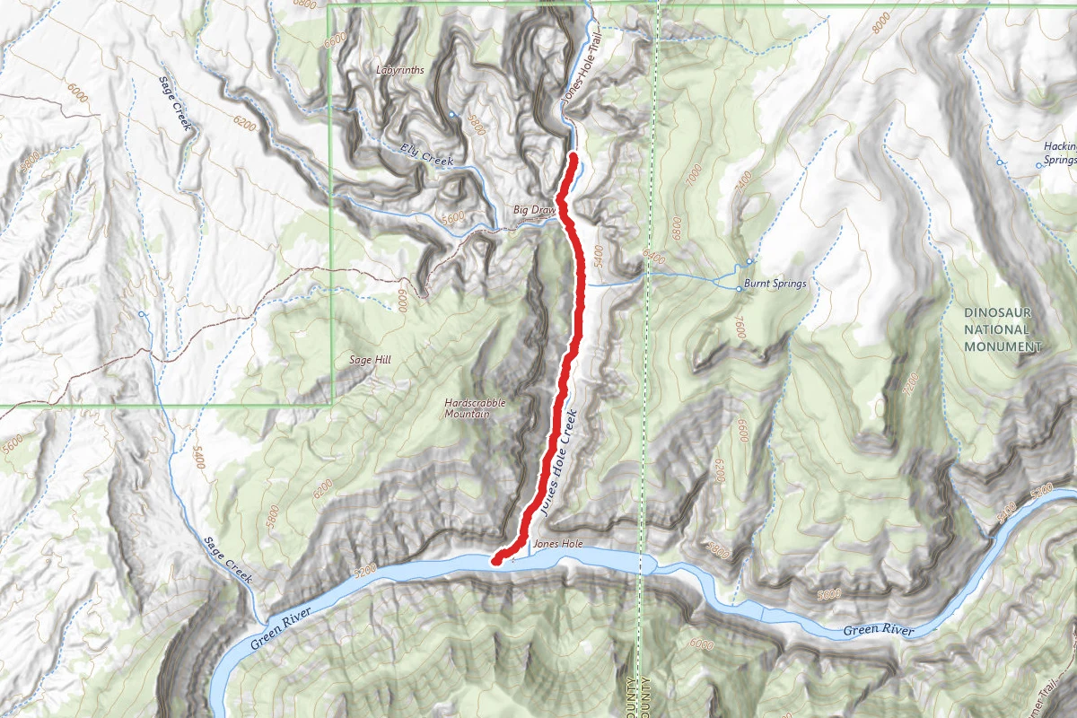 Jones Hole Trail