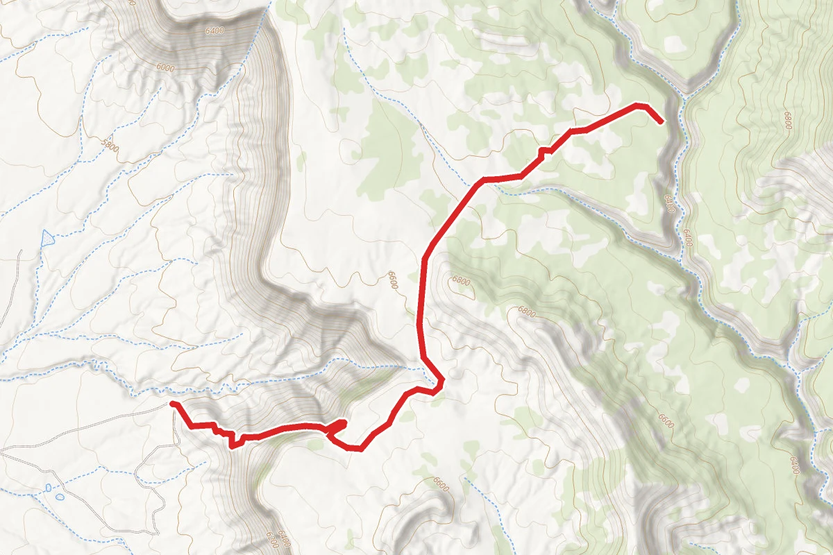 Pack Trail