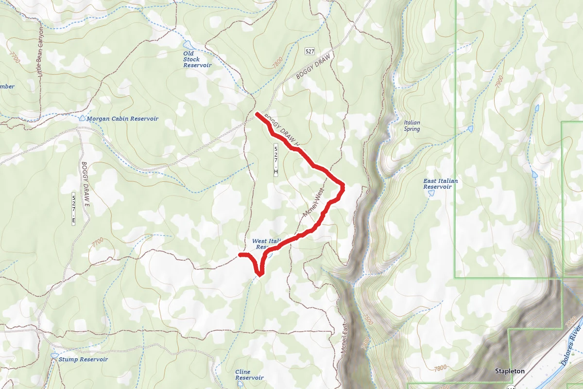 Speedy's Loop