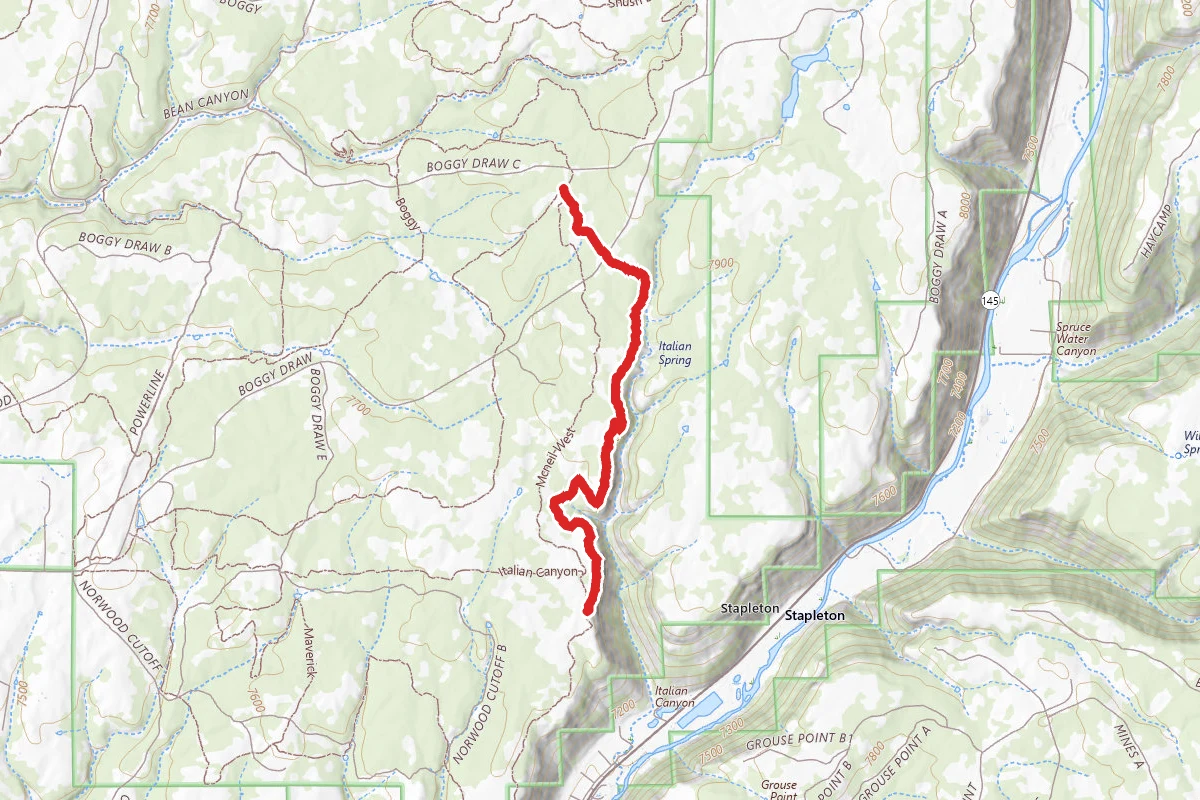 Mcneil East Trail