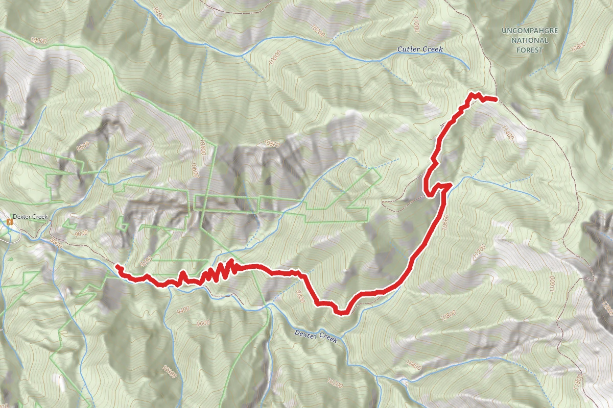 Dexter Creek Trail (205)