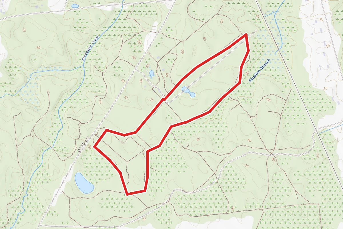 Tybout Tract Trail