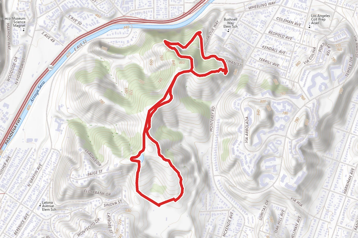 Wild Mustard Loop