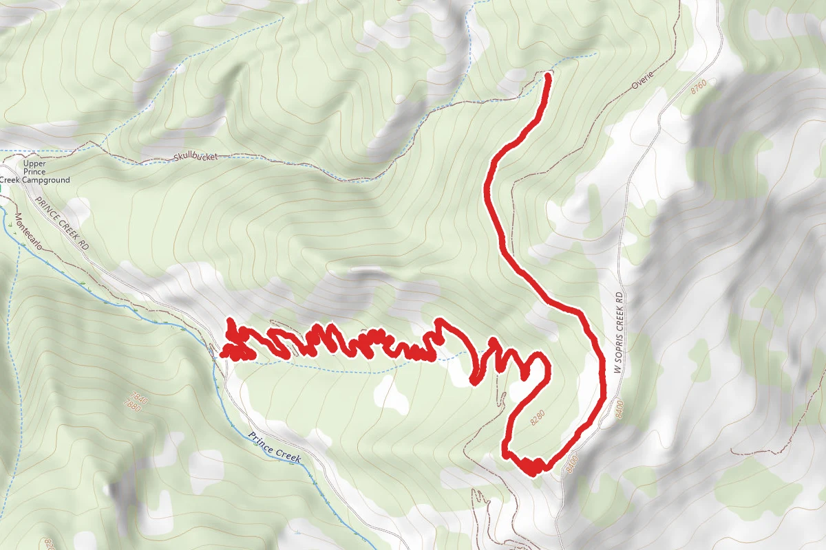 Next Jen Trail