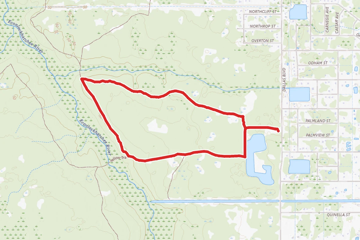 Hal Scott Preserve White Blaze Trail loop