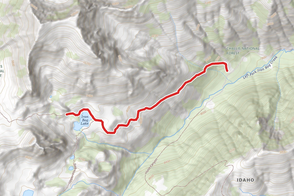 Iron Bog Lake Trail