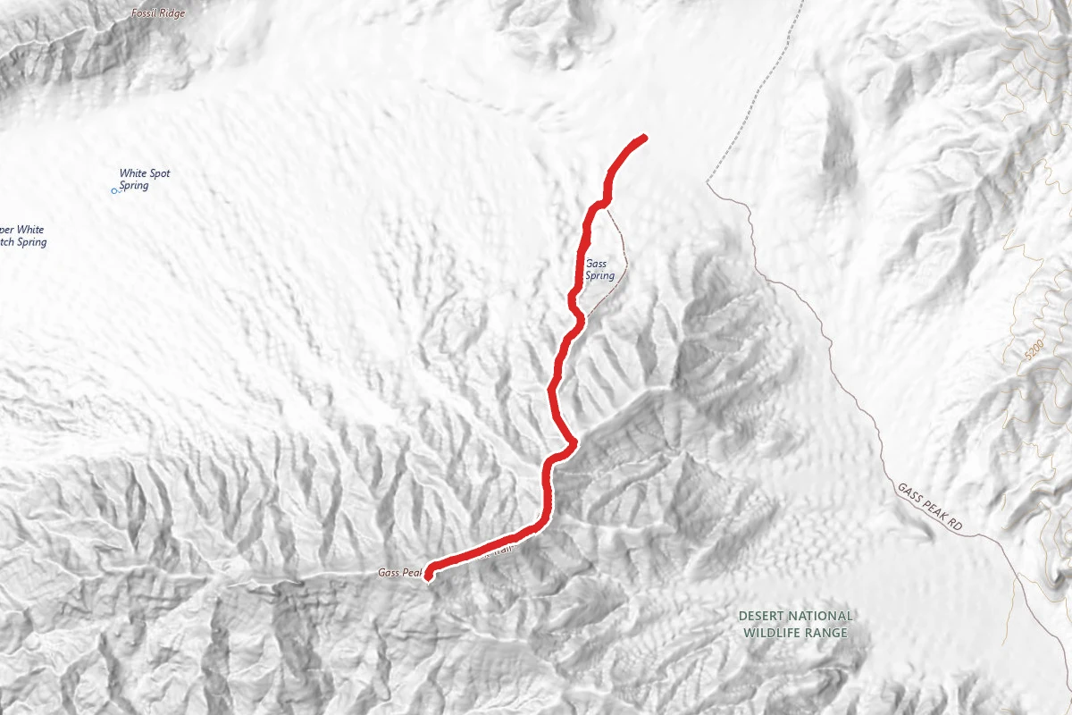 Gass Peak Trail