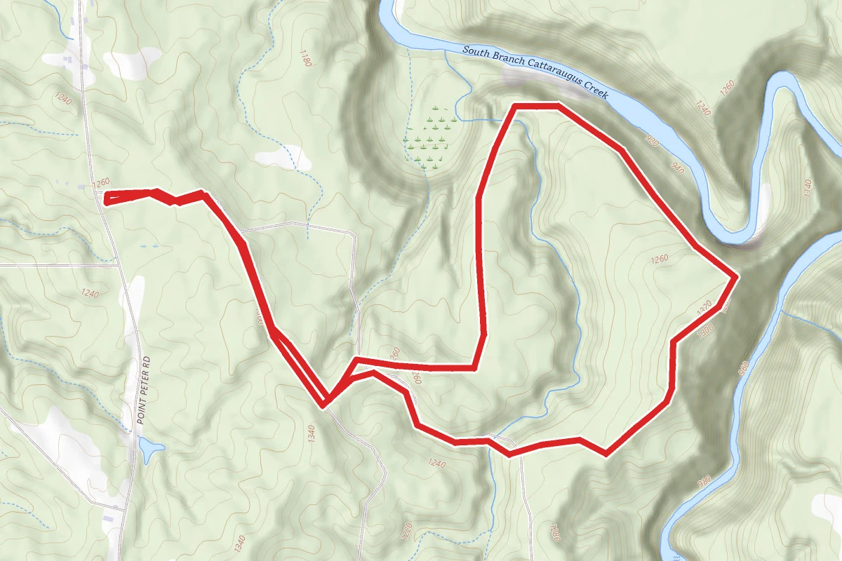 Deer Lick Nature Sanctuary Trail