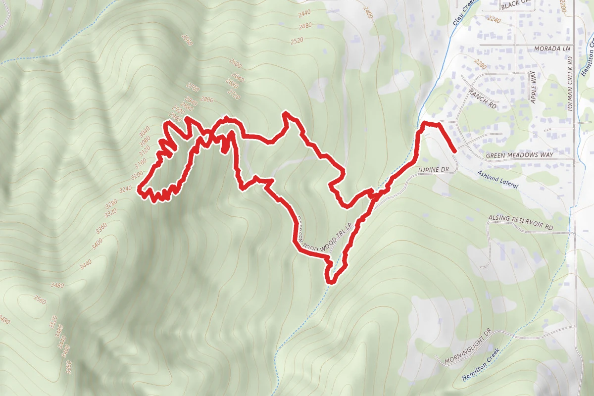 Cheshire Cat, White Rabbit and Oredsen-Todd Woods Loop Trail