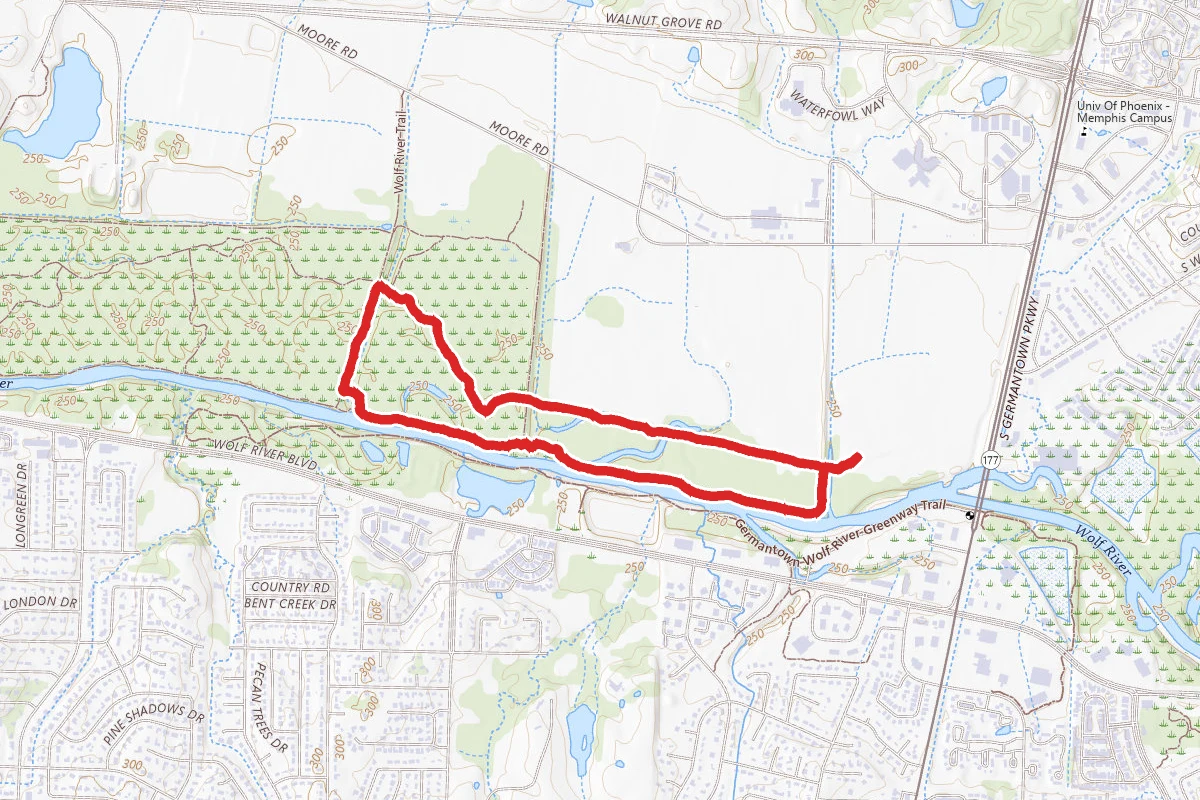 Wolf River Blue and Yellow Trail Extended Loop